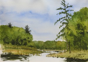 Watercolor painting of wetlands in summer